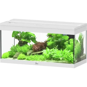 Billig aquatlantis Prestige 80 weiß Aquarium